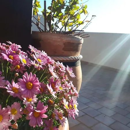 Apartment Blu Terrace San Vito Lo Capo