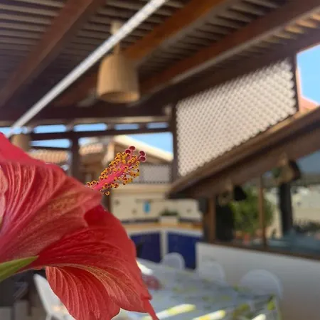 Blu Terrace *