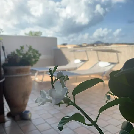 Blu Terrace *